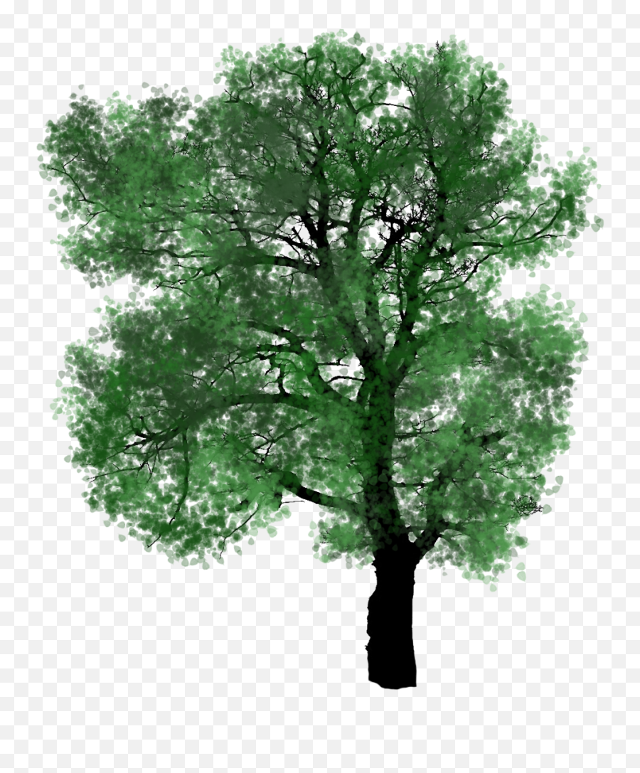 Tree Clipart Emoji,Green Leaves Clipart
