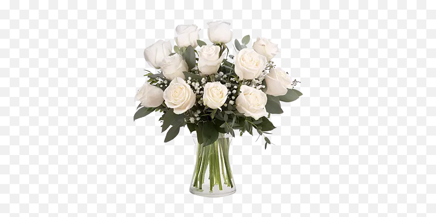 Touch Of Class 12 White Roses Emoji,White Rose Transparent