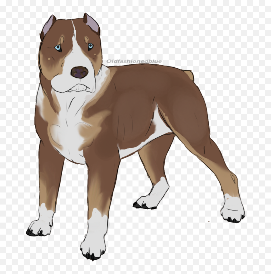 American Staffordshire Terrier American Pit Bull Terrier - Cómo Cómo Dibujar Un Cachorro Pitbull Balnco Emoji,Pitbull Clipart