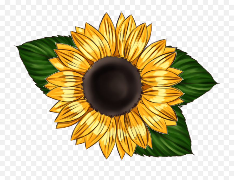 The Most Edited Leaves Picsart Emoji,Sunflower Garden Clipart