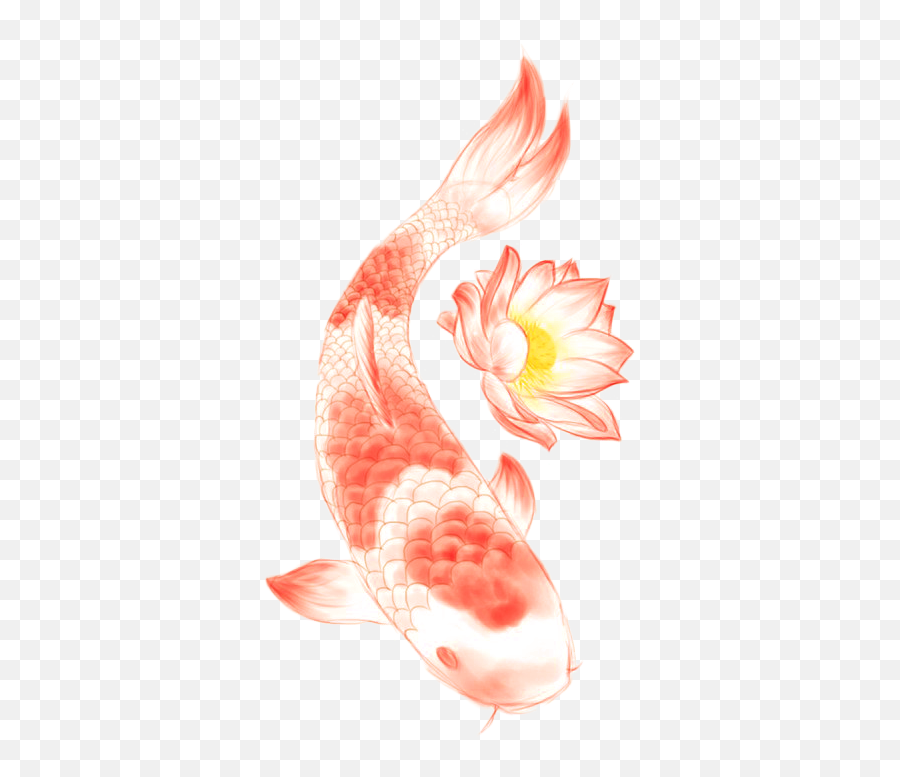 Download Butterfly Koi Nelumbo Nucifera Lotus Symbol Tattoo Emoji,Koi Fish Clipart