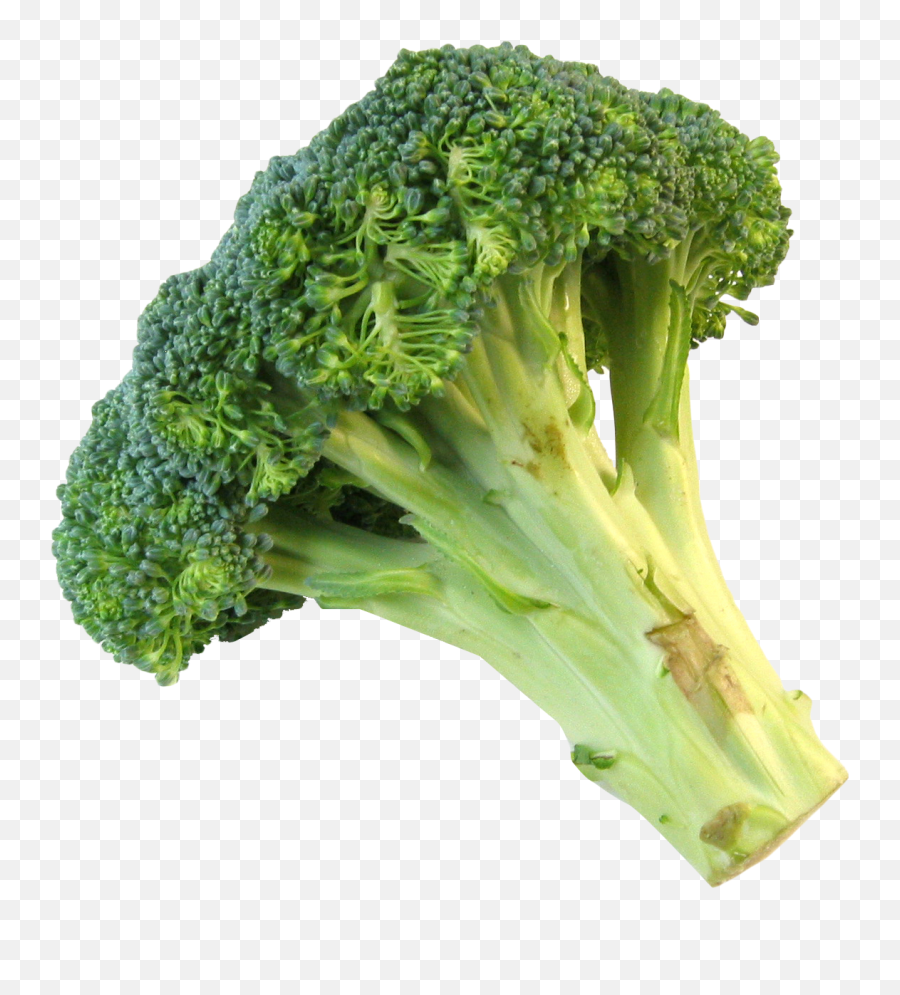 Broccoli Nutrient Vegetable Food - Cauliflower Vegetable Single Broccoli Transparent Background Emoji,Broccoli Clipart