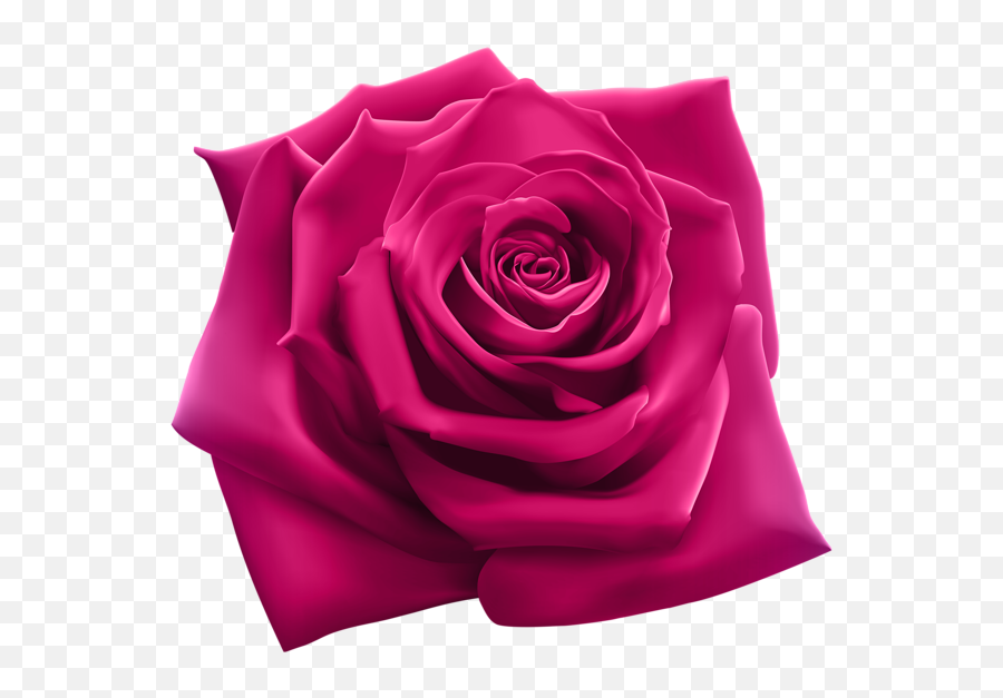 Pink Rose Png Clipart Image Purple Roses Pink Rose Png - Transparent Transparent Background Pink Rose Png Emoji,Pink Flower Png