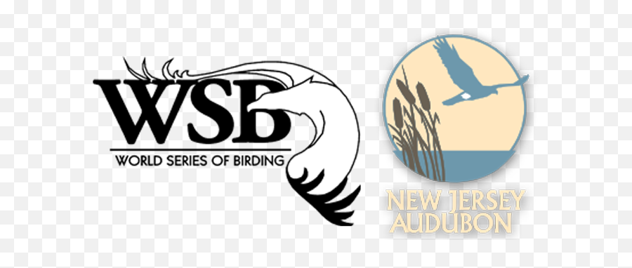 World Series Of Birding 2021 - World Series Of Birding 2019 Emoji,World Series Logo
