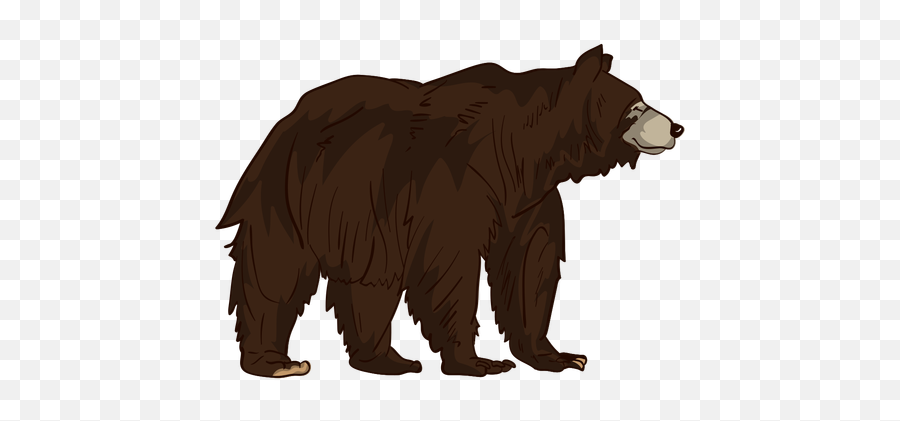 Brown Grizzly Bear Cartoon - Grizzly Bear Cartoon Png Emoji,Grizzly Bear Png