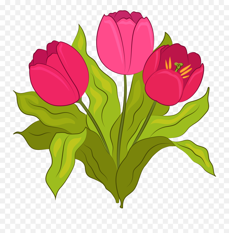 Tulip Clipart - Tulip Emoji,Tulip Clipart