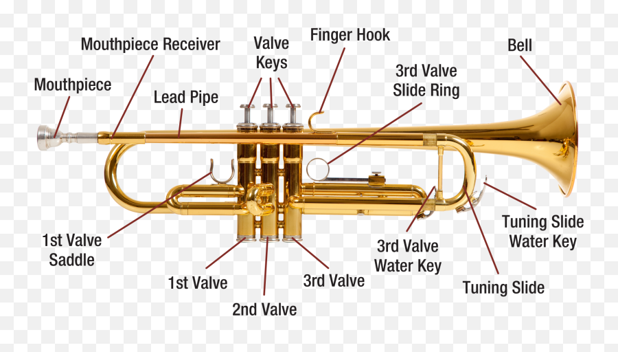 Download Trumpet Diagram Image - Labelled Diagram Of A Draw And Label A Trumpet Emoji,Trumpet Png