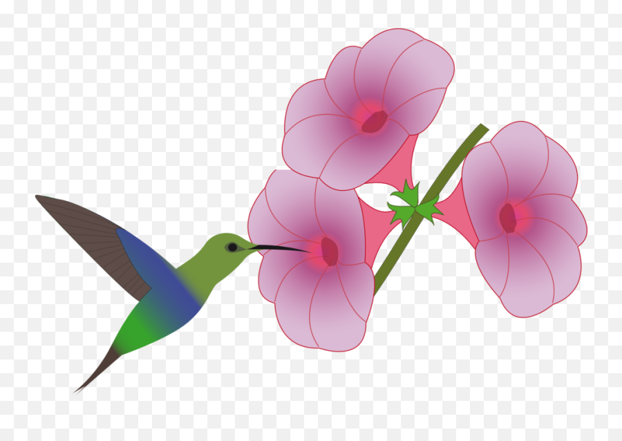 Public Domain Clip Art Image - Flower For Hummingbirds Clipart Emoji,Hummingbird Clipart