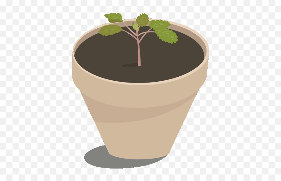 Top Potted Plant Stickers For Android U0026 Ios Gfycat Emoji,Potted Plant Transparent Background