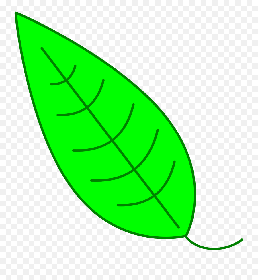 Green Simple Leaf Clipart Free Image - Simple Big Leaf Drawing Emoji,Leaf Clipart