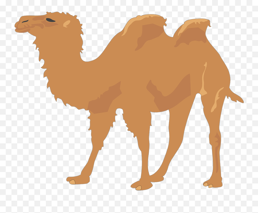 Camel Clip Art - Camel Clipart Emoji,Camel Clipart