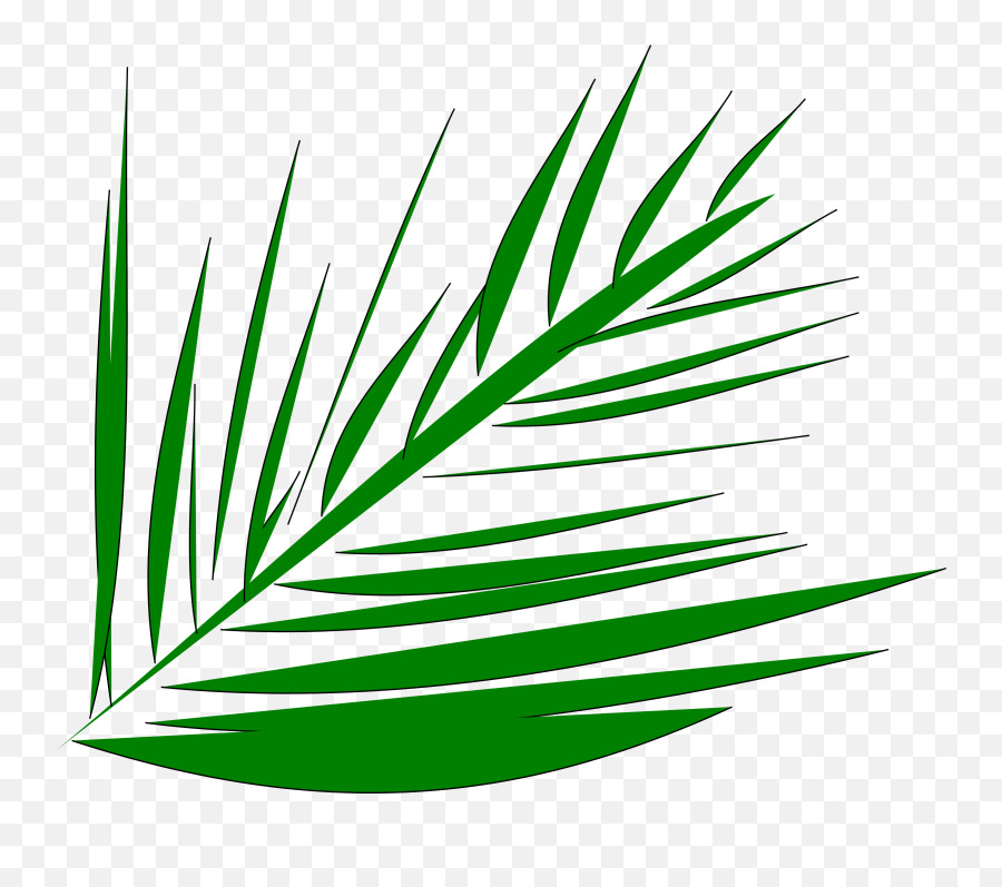 Big Image - Palm Trees Lent Transparent Background Clipart Transparent Lent Clip Art Emoji,Lent Clipart