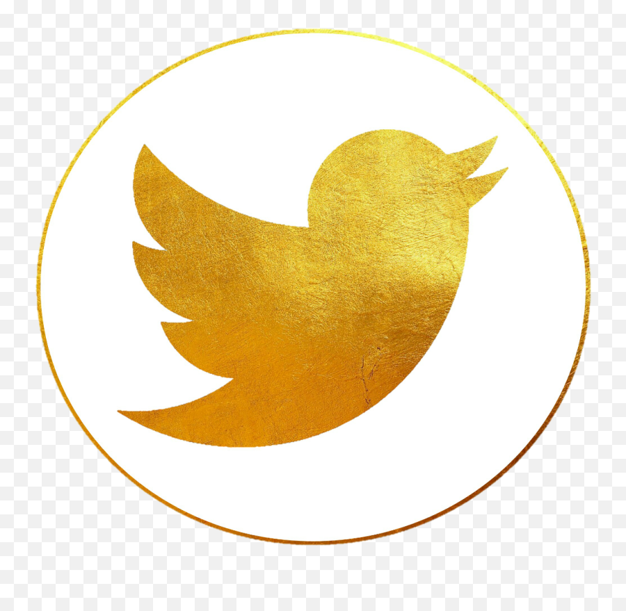 Download Twitter Logo Vector White Png - Bird Emoji,Twitter Logo Vector