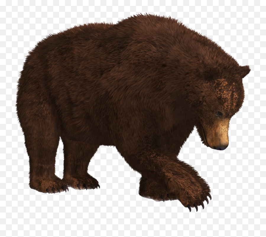 Download Bear Png 9 Hq Png Image - Bear Transparent Background Emoji,Bear Png