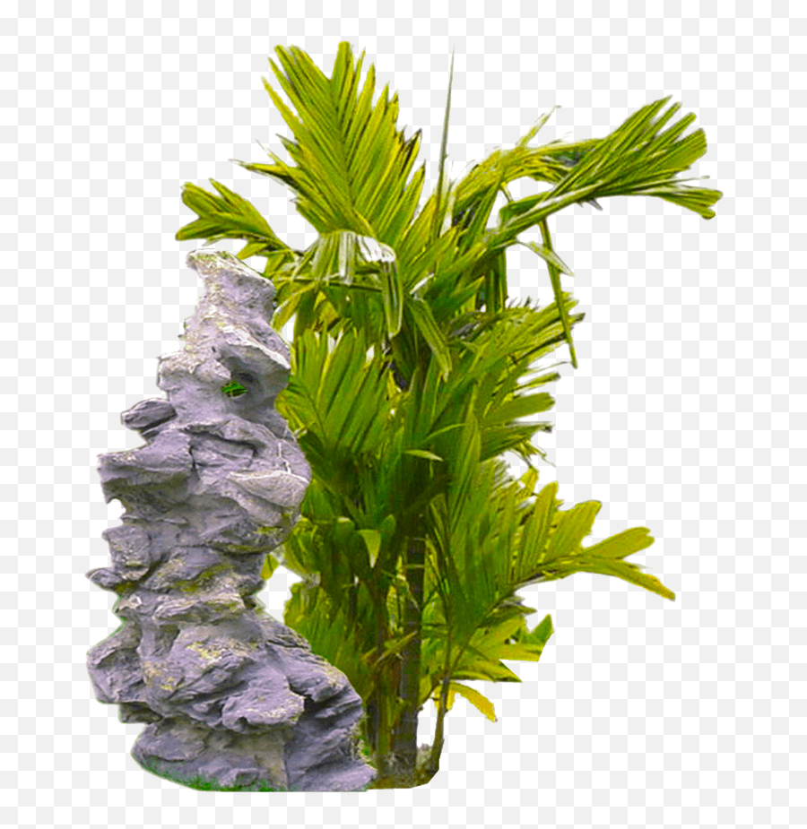 Free Download Tropical Plant Png Image - Tropical Transparent Background Plant Png Emoji,Plant Transparent Background