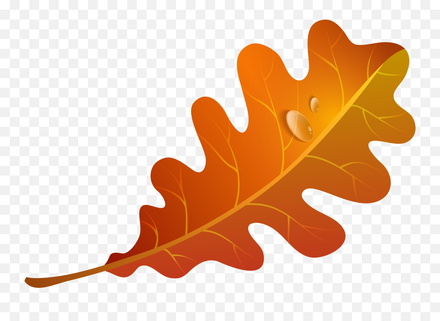 Orange Leaf - Transparent Background Fall Leaf Clipart Emoji,Leaf Clipart