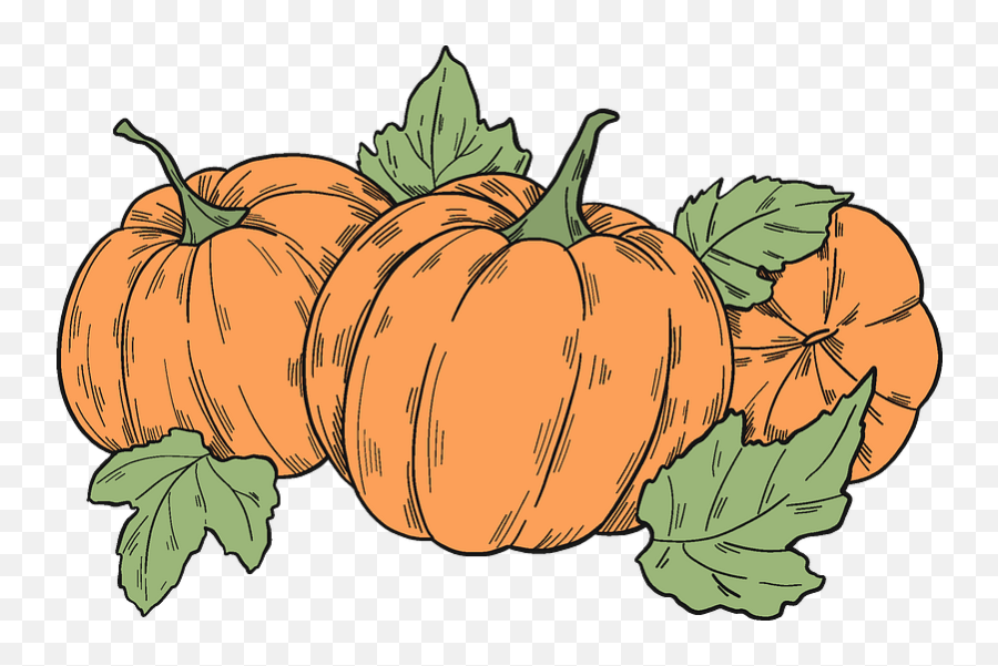 Pumpkin Patch Clipart - Transparent Pumpkin Patch Clipart Emoji,Pumpkin Patch Clipart