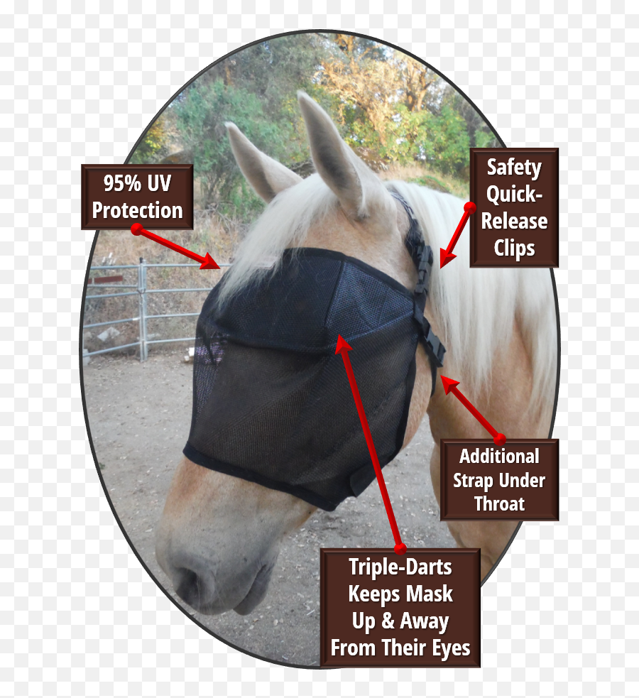 Equivizor Uv Horse Fly Mask - Standard Protective Pet Emoji,Horse Mask Png