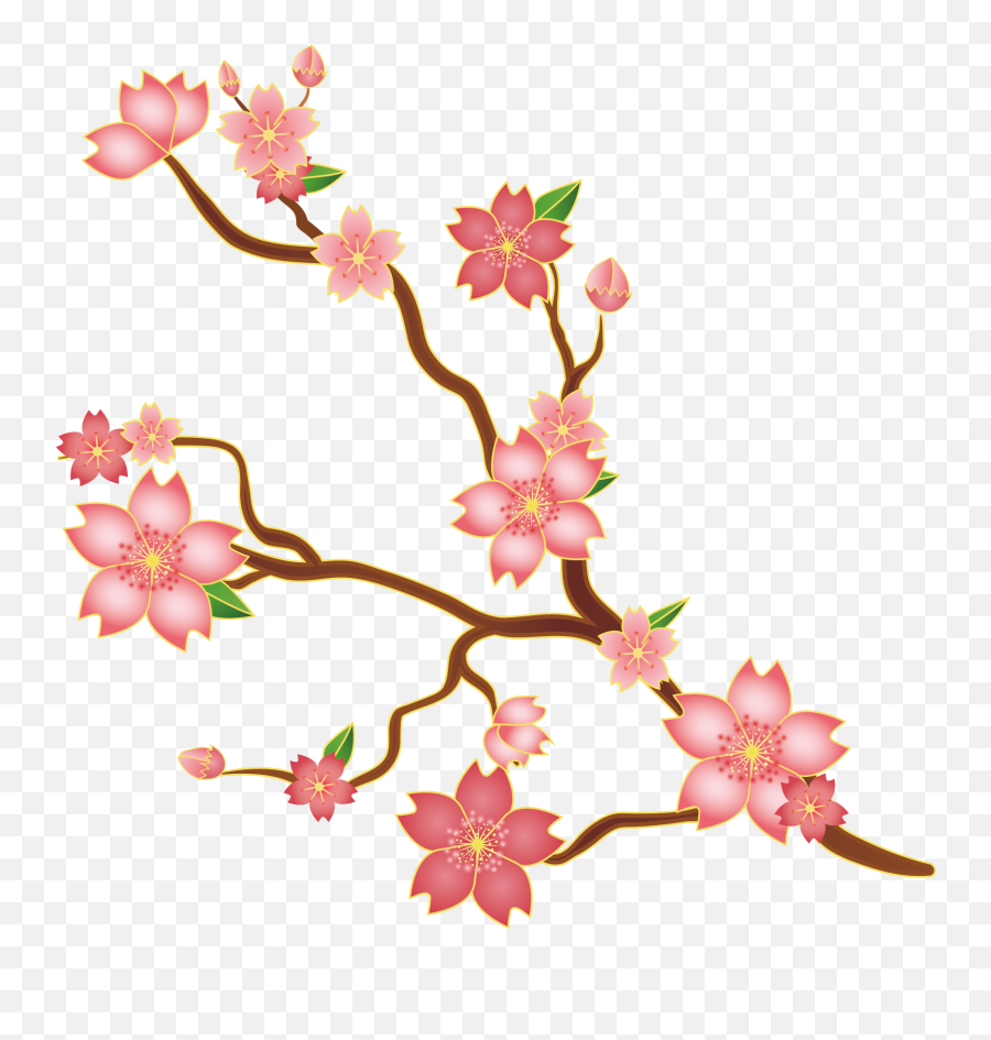 Svg Library Stock Cherry Blossoms - Japan Cherry Blossom Svg Emoji,Cherry Blossom Clipart