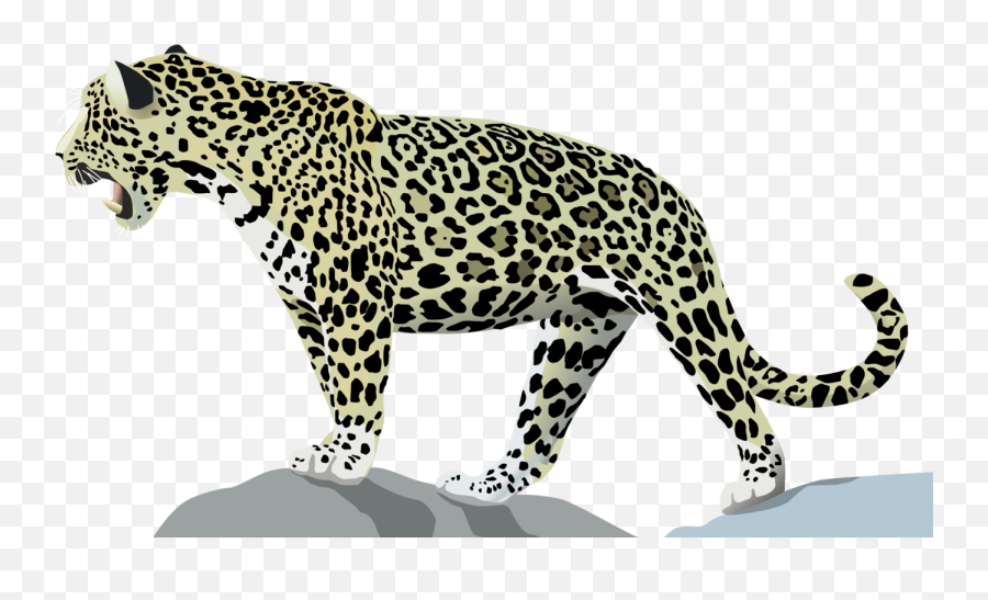 Tigerwildlifepuma Png Clipart - Royalty Free Svg Png Jaguar Transparent Background Emoji,Wildcat Clipart