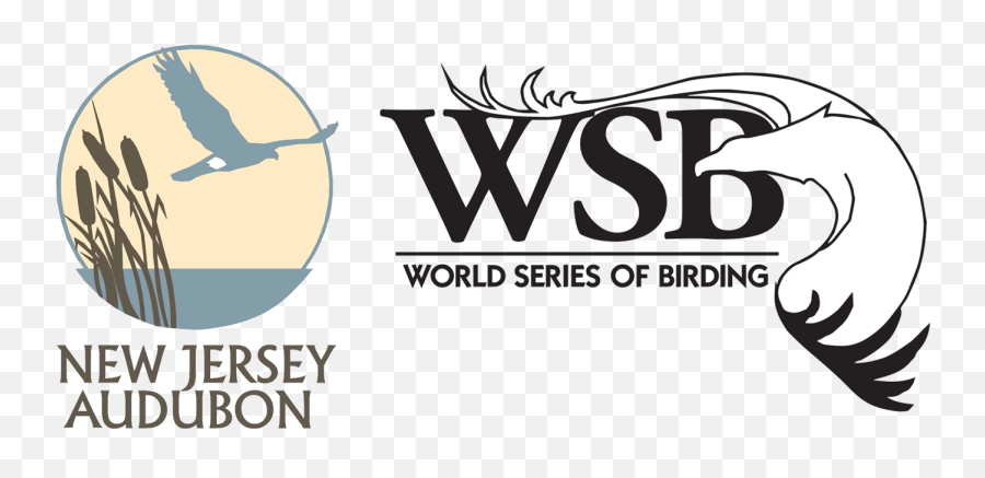 World Series Of Birding - Nj Audubon Emoji,World Series Logo