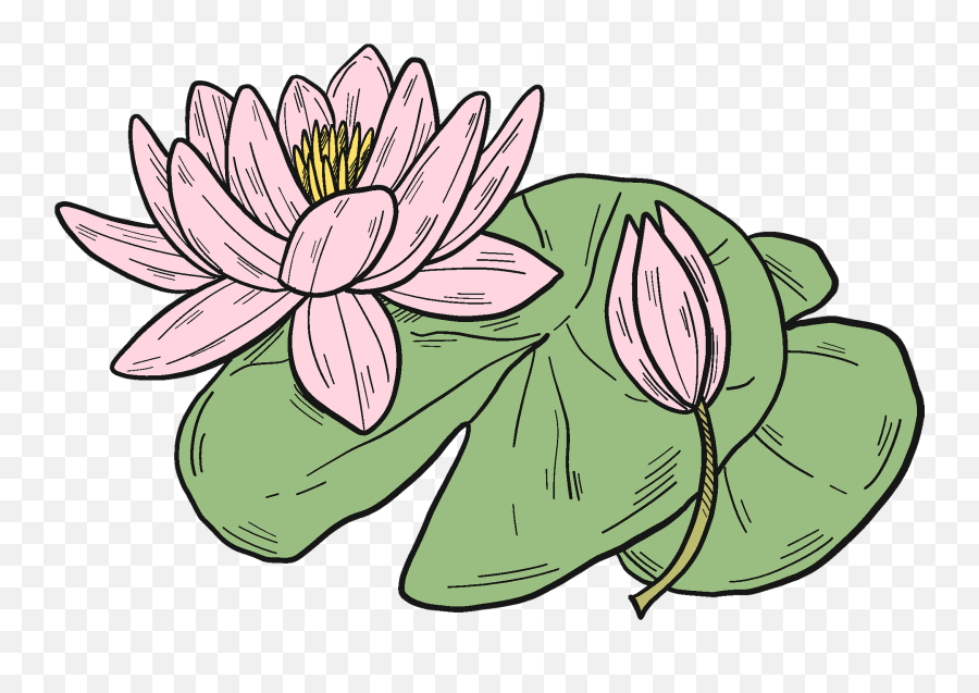 Pink Water Lily Clipart - Water Lily Colouring Pages Emoji,Lily Clipart