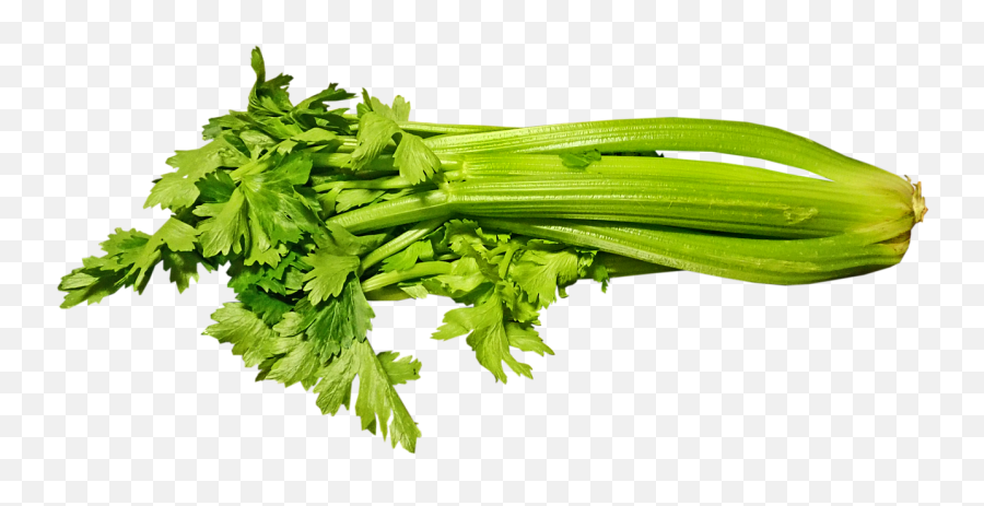 Celery Vegetable Produce - Celery Emoji,Celery Png