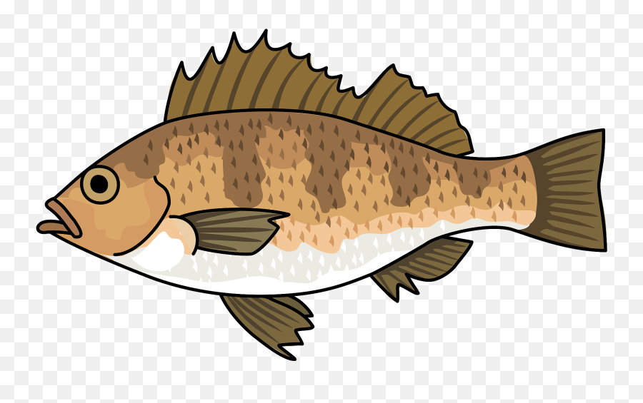 Japanese Red Seaperch Fish Clipart Free Download - Cypriniformes Emoji,Fish Clipart