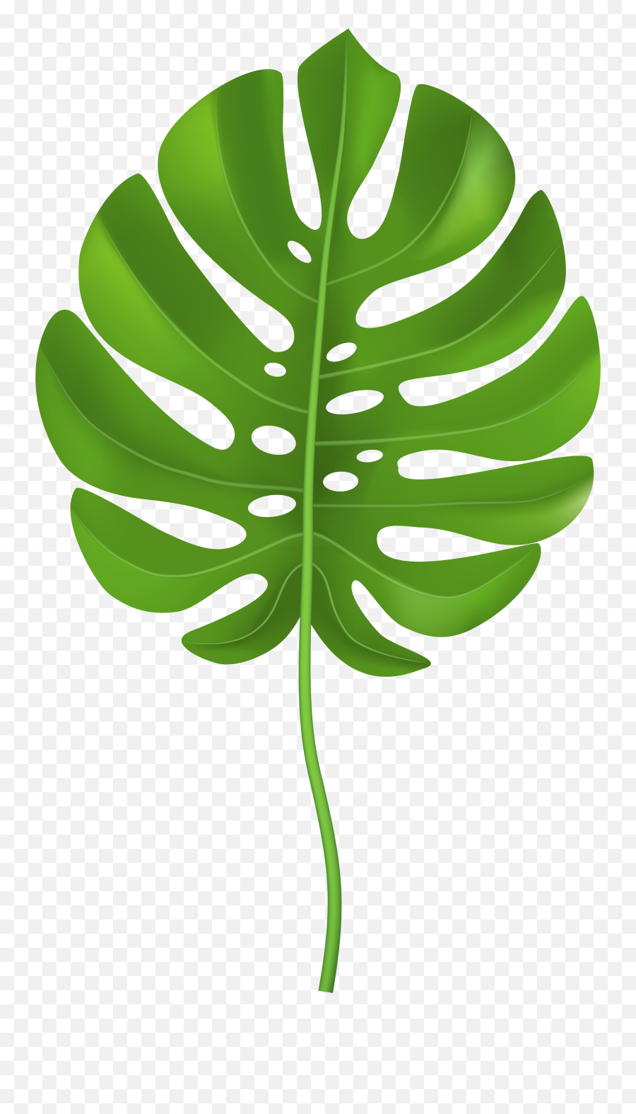 Jungle Leaves Clipart - Transparent Background Palm Leaf Clipart Emoji,Leaf Clipart