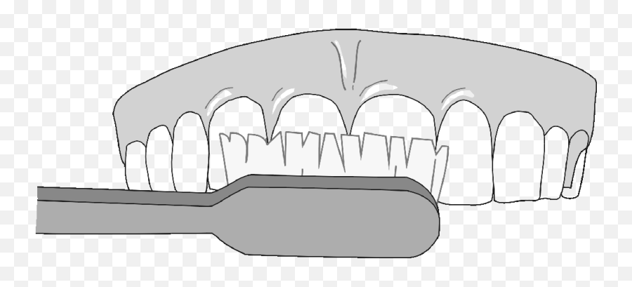 For Proper Cleaning Of The Teeth The Teeth Should Emoji,Toothbrush Clipart Black And White