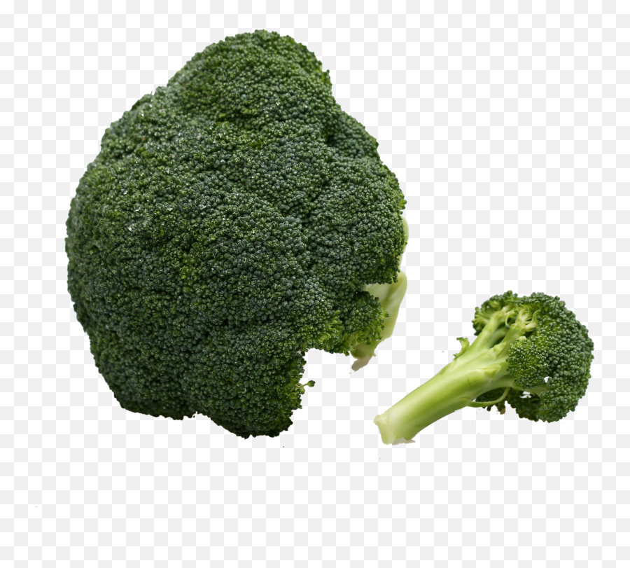 Broccoli Vegetable Immune System - Green Vegetables Png Broccolini Emoji,Broccoli Png