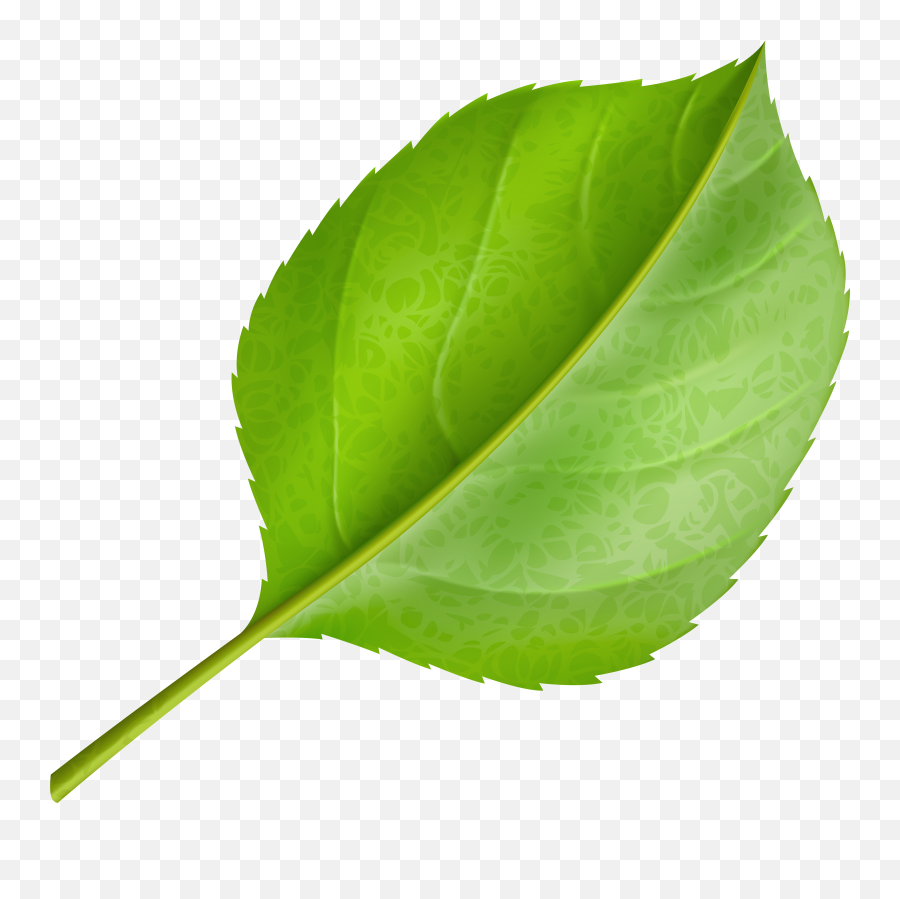 Green Leaf Png Clipart Emoji,Leafs Png