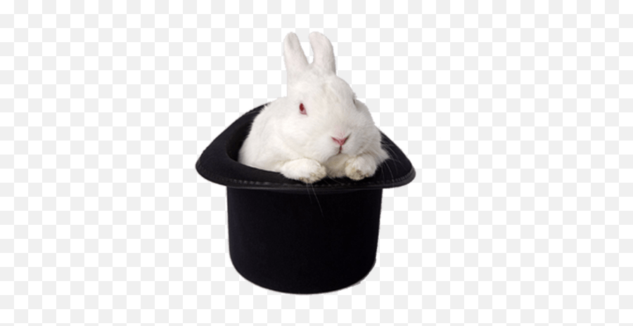 Small Cute Rabbit Transparent Png - Stickpng Magic Rabbit Png Emoji,White Rabbit Png