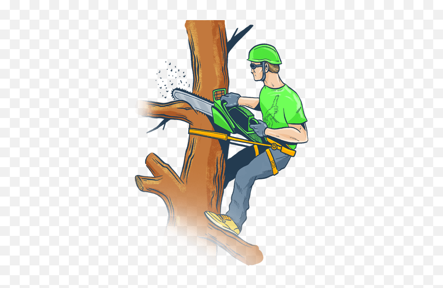 Clip Cut Trees Transparent U0026 Png Clipart 2576641 - Png Tree Service Clip Art Emoji,Cut Clipart