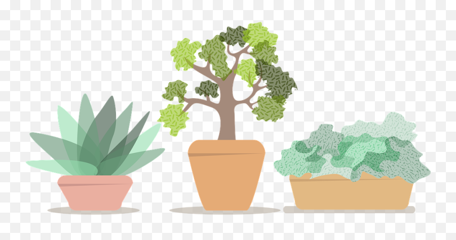 Free Photo House Plants Plant Flowerpot Green Pots Gardening Emoji,Potted Plant Transparent Background