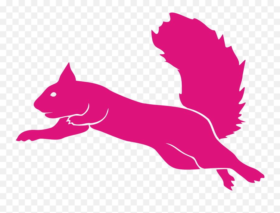 Flying Cat Png Emoji,Squirrel Logo