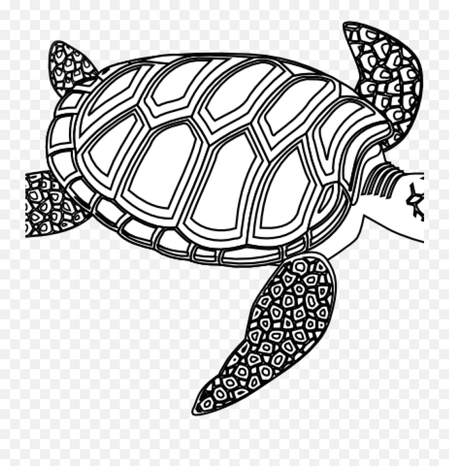 Clip Art Sea Turtle Transparent Png - Turtle Clipart Images Black And White Emoji,Turtle Clipart