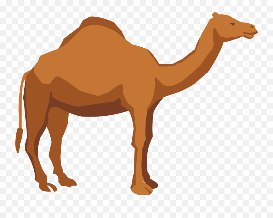 Camel Clipart Png - Camel Clipart Png Emoji,Camel Clipart