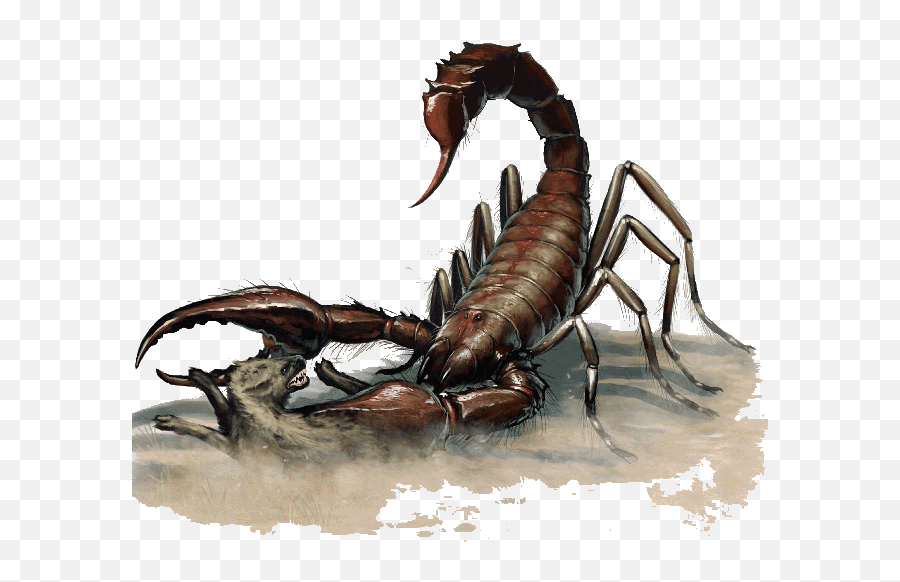 Scorpion Giant - Jade Regent Giant Scorpion Emoji,Scorpion Png