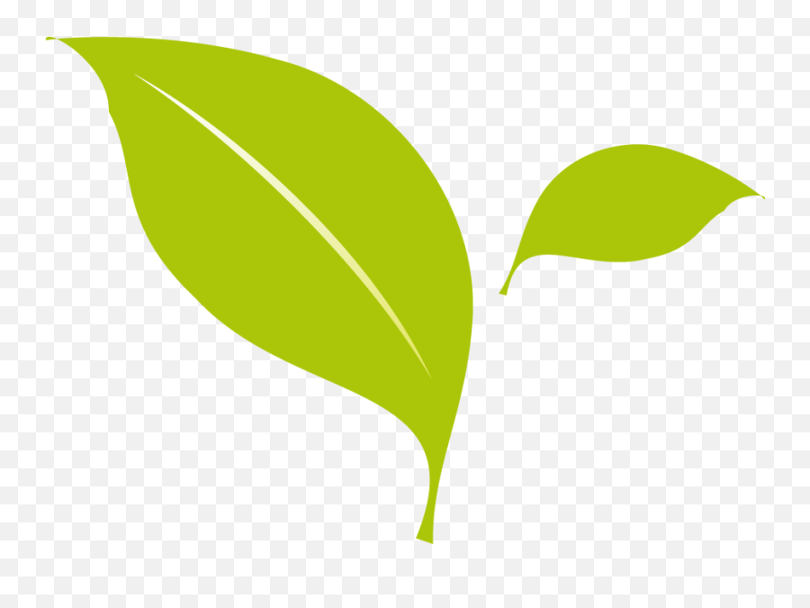 Free Png Leaves Download Free Clip Art Free Clip Art On - Plant Leaf Vector Png Emoji,Jungle Leaves Png