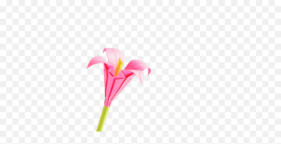 Background Image From A Gif Image - Lily Emoji,Make Image Transparent