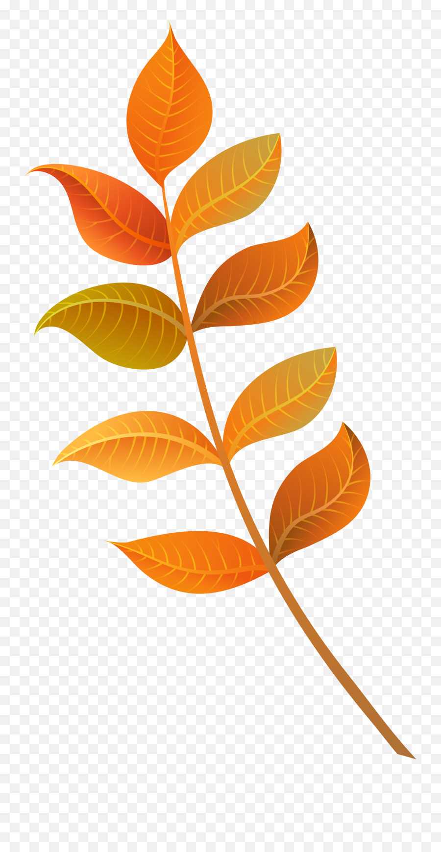 Download Foliage Clipart Fall Decoration - Fall Leaf Clipart Transparent Background Fall Decor Clipart Emoji,Fall Leaf Clipart