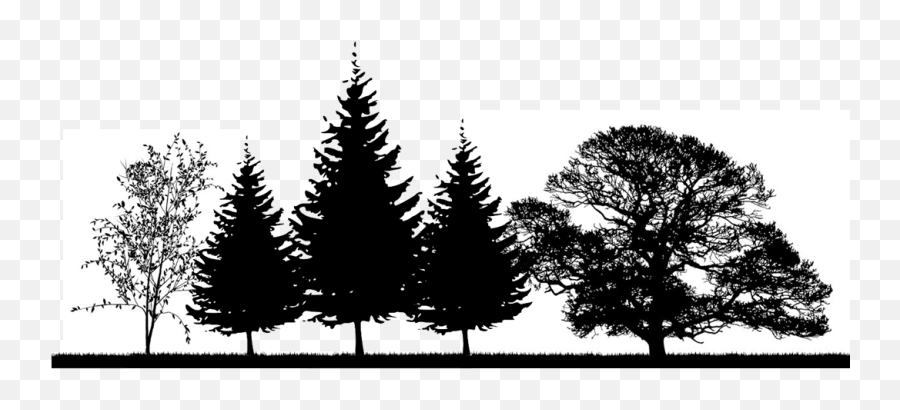 Trees For Energy Conservation - Oak Tree Silhouette Big Oak Tree Silhouette Emoji,Oak Trees Clipart