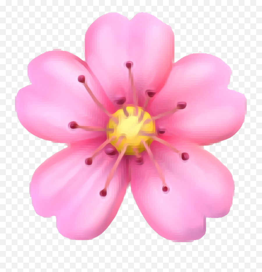 Emoji Flower Png Emoji Flower Png Transparent Free For - Emoji Cherry Blossom Png,Cherry Blossom Png