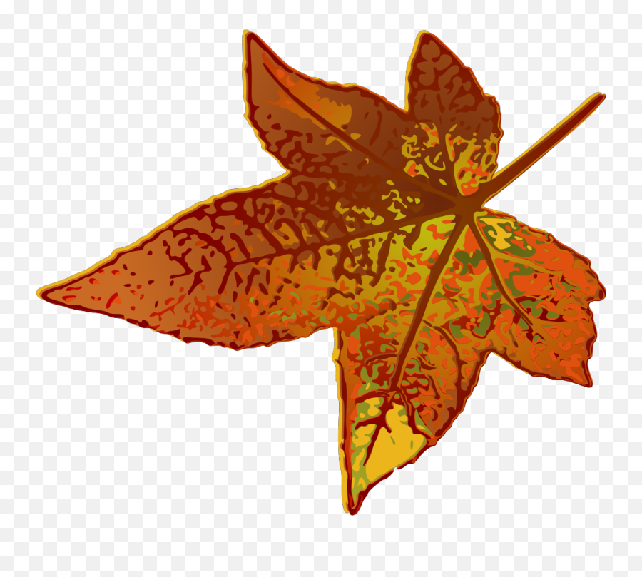 Fall Maple Leaf Svg Vector Fall Maple Leaf Clip Art - Svg Emoji,Maple Leaves Clipart