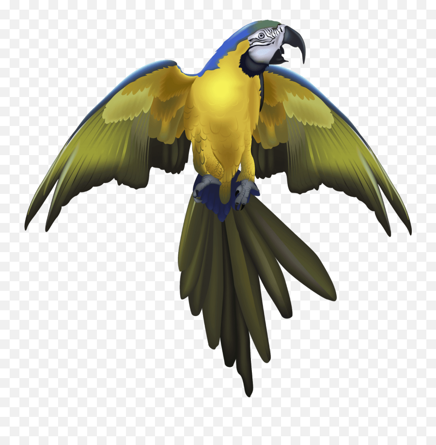 Pirate Parrot Png - Flying Parrot Png Emoji,Parrot Png