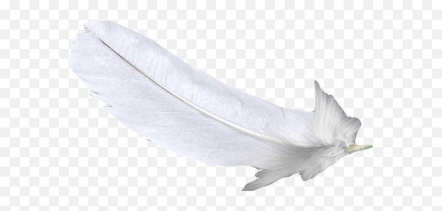 Feather White U767du8272u7fbdu6bdb Free Hq Image - White Animal Product Emoji,Feather Clipart Black And White