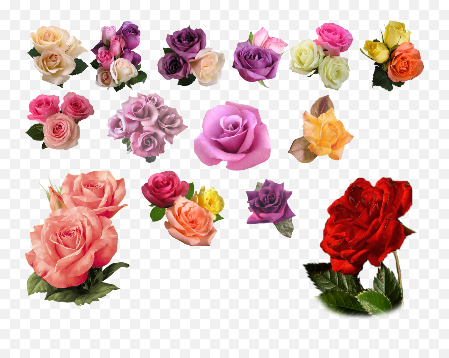 Free Rose Gold Flower Png Download - Png Format Psd Background Png Emoji,Png Files