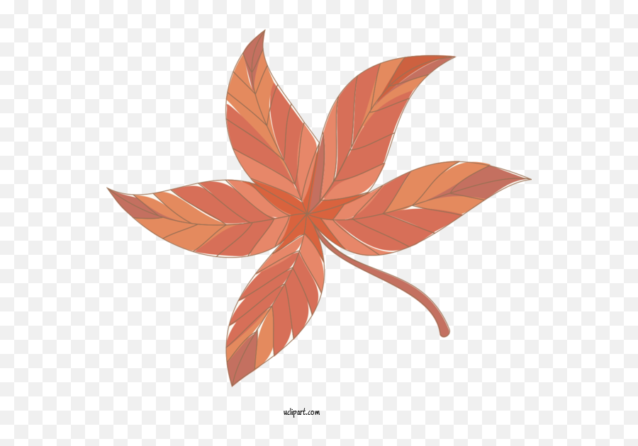Nature Leaf Design Maple Leaf For Leaf - Leaf Clipart Nature Emoji,Maple Leaves Clipart