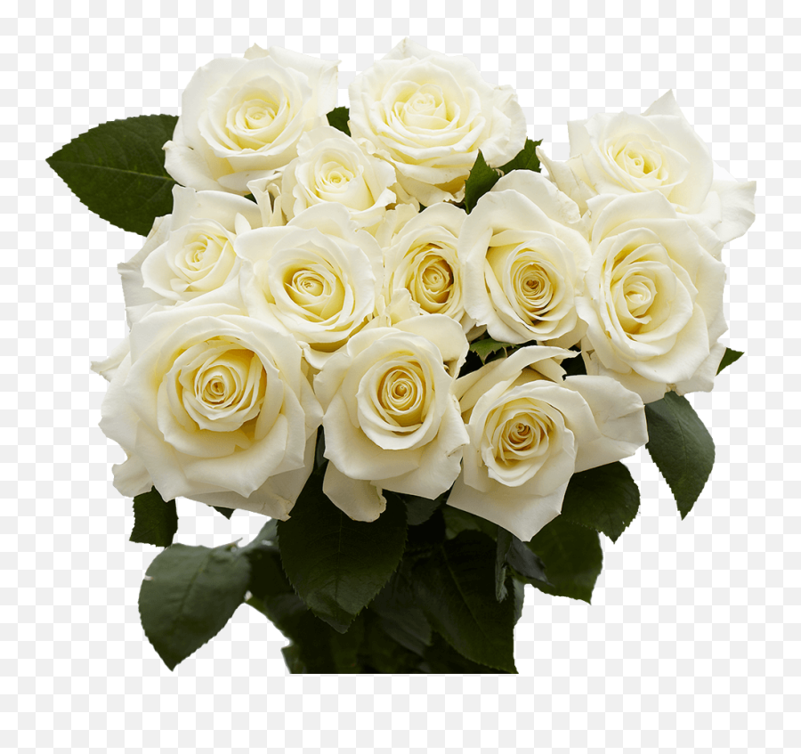 One Dozen White Roses - Fresh Flower Delivery Emoji,White Rose Transparent
